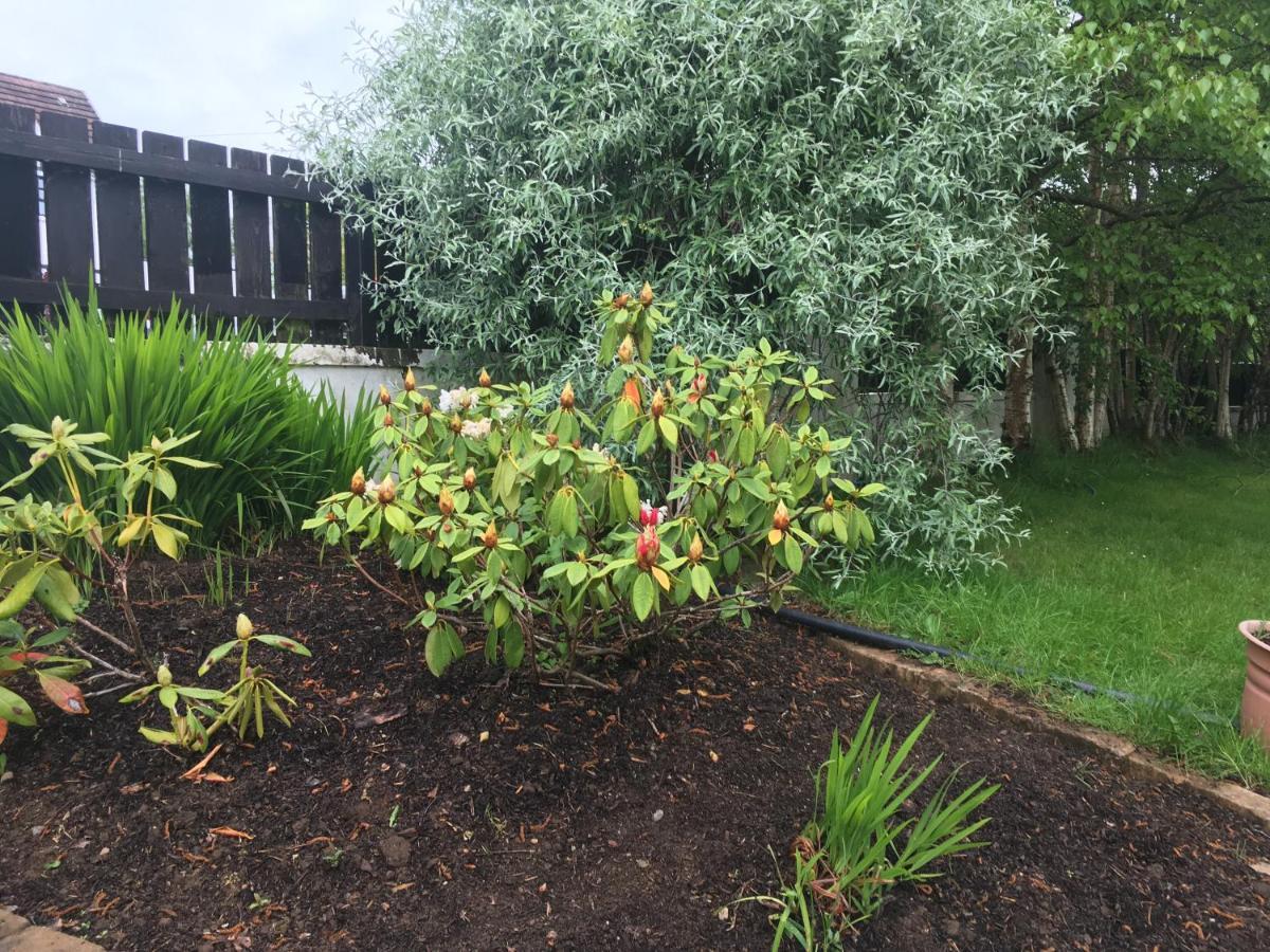 5, Knocktarna Manor Apartment Coleraine Bagian luar foto